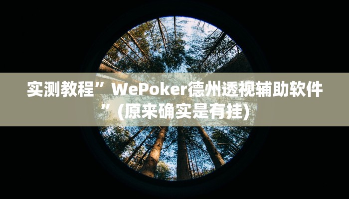 实测教程”WePoker德州透视辅助软件”(原来确实是有挂)