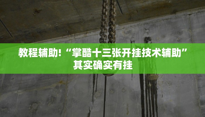 教程辅助!“掌酷十三张开挂技术辅助”其实确实有挂
