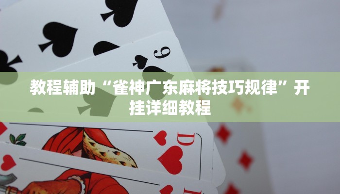 教程辅助“雀神广东麻将技巧规律”开挂详细教程