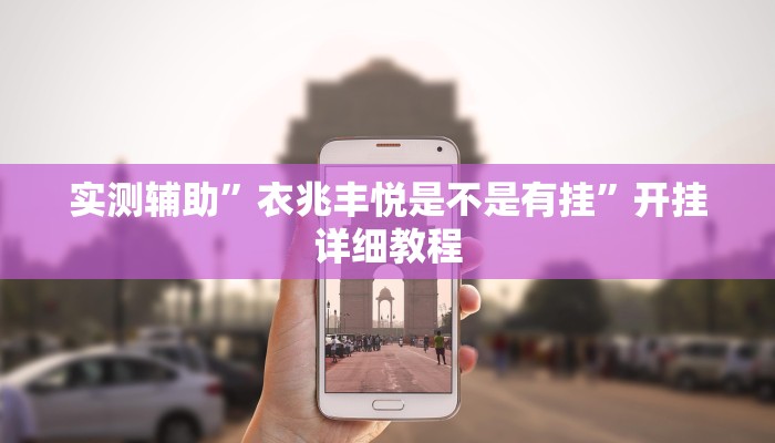 实测辅助”衣兆丰悦是不是有挂”开挂详细教程