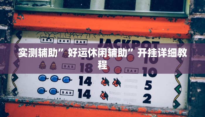 实测辅助”好运休闲辅助”开挂详细教程