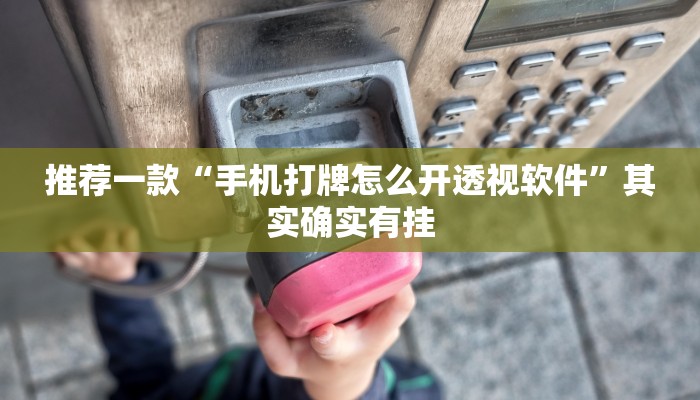 推荐一款“手机打牌怎么开透视软件”其实确实有挂