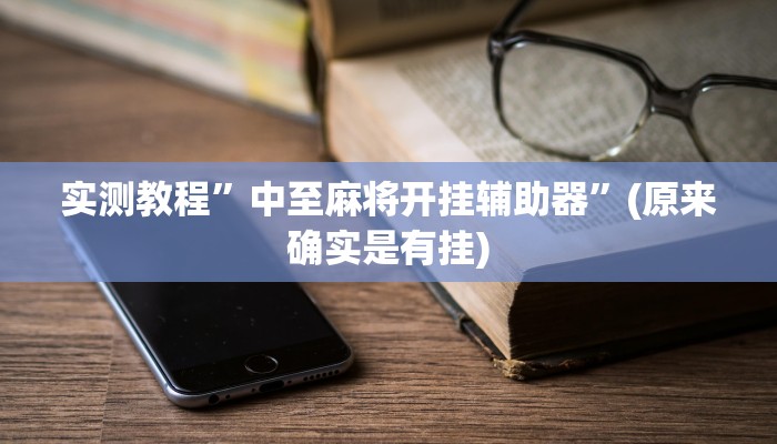 实测教程”中至麻将开挂辅助器”(原来确实是有挂)