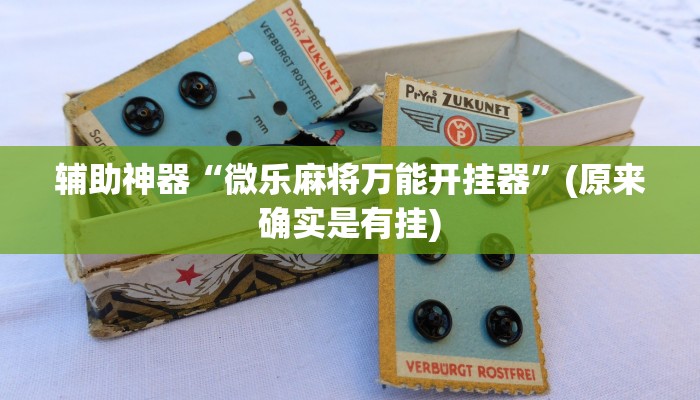 辅助神器“微乐麻将万能开挂器”(原来确实是有挂)