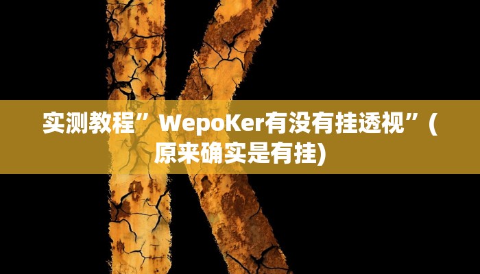 实测教程”WepoKer有没有挂透视”(原来确实是有挂)