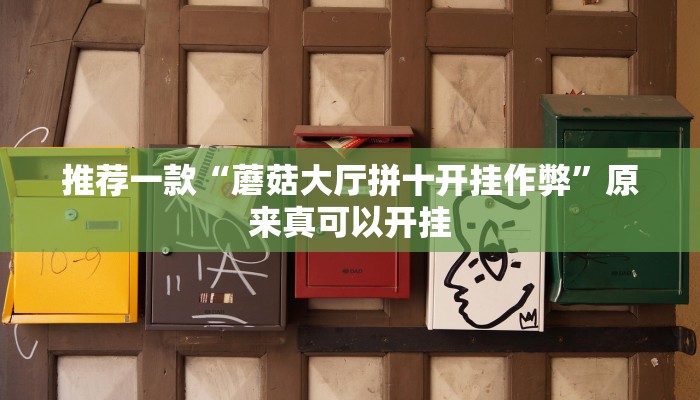 教程辅助!“闲来贵州麻将开挂的软件”原来真可以开挂
