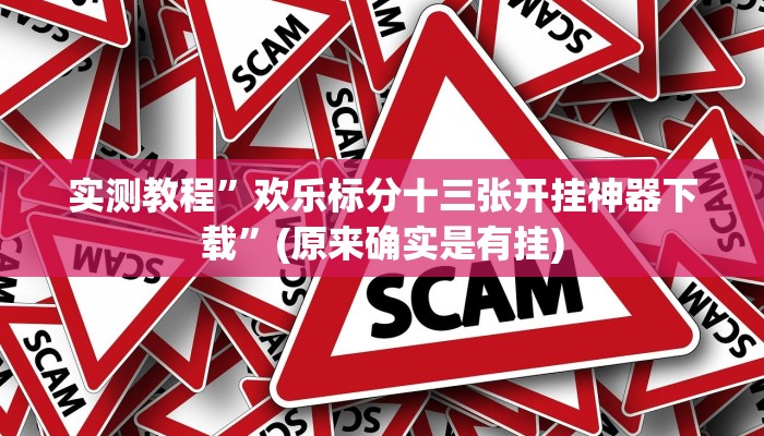 实测教程”蜀山麻将挂怎么安装”(原来确实是有挂)