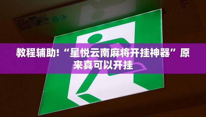 实测教程”龙鼎拼十挂怎么安装”(原来确实是有挂)