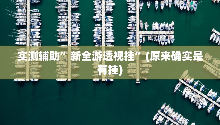 实测教程”椰子大厅可以开挂吗”(原来确实是有挂)