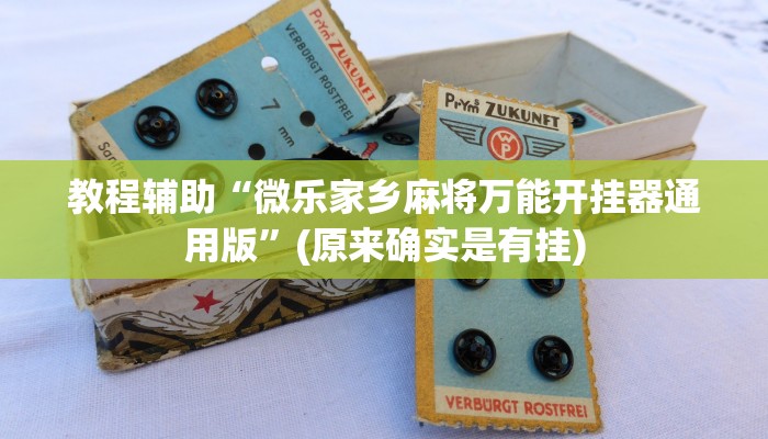 实测教程”鸿运十三张辅助怎么开挂”(原来确实是有挂)