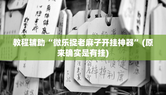 教程辅助“新九哥大厅透视辅助最新”(原来确实是有挂)