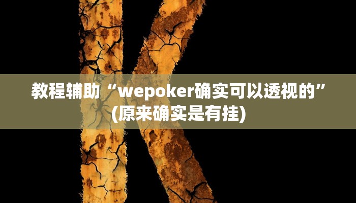 教程辅助“新玉海楼茶苑13张科技辅助”开挂详细教程