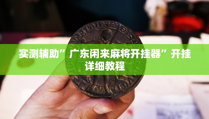 实测教程”德扑之星透视真的吗”(原来确实是有挂)