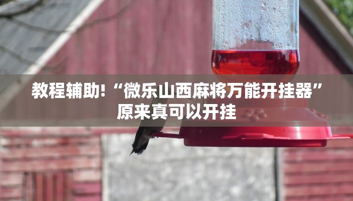 实测教程”博雅红河挂怎么安装”(原来确实是有挂)