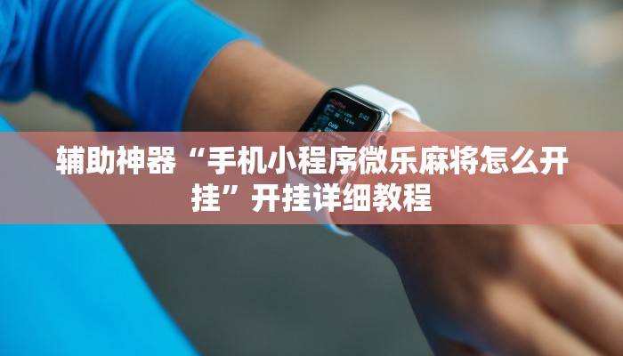实测教程”WePOKer辅助挂透视软件”(原来确实是有挂)
