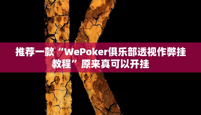 辅助神器“吉祥填大坑透视软件”(原来确实是有挂)