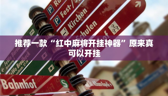 辅助神器“天天斗地主真人版外卦神器”开挂详细教程