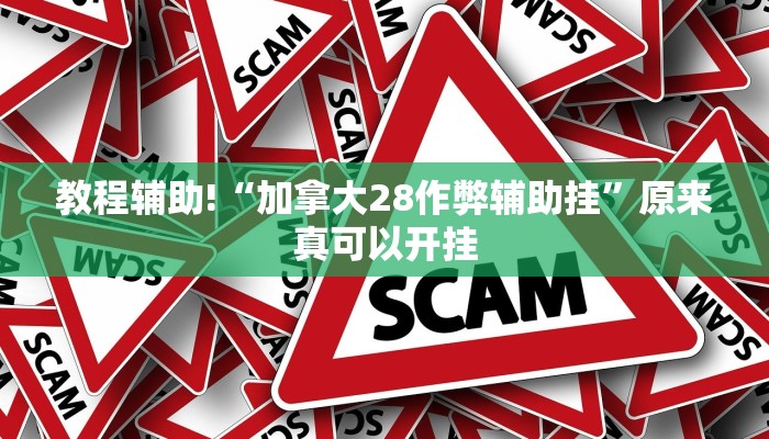 教程辅助!“加拿大28作弊辅助挂”原来真可以开挂
