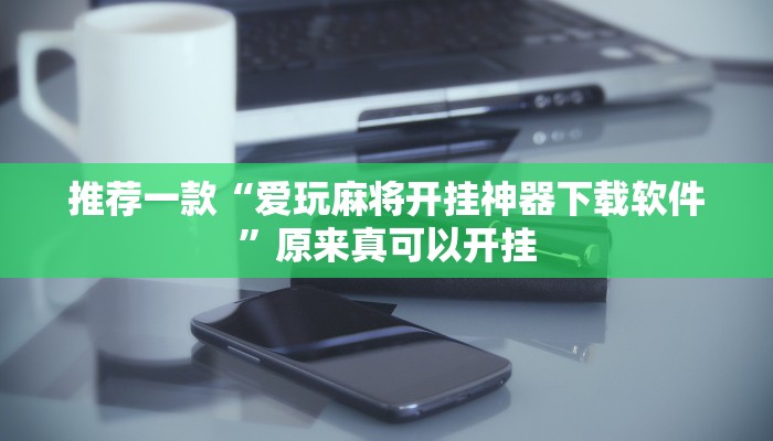 实测教程”wepoker开挂作弊教程”(原来确实是有挂)