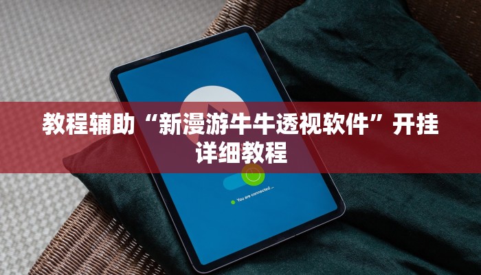 教程辅助“新漫游牛牛透视软件”开挂详细教程