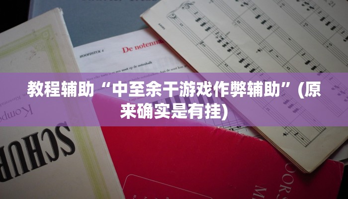 辅助神器“椰子大厅透视”(原来确实是有挂)