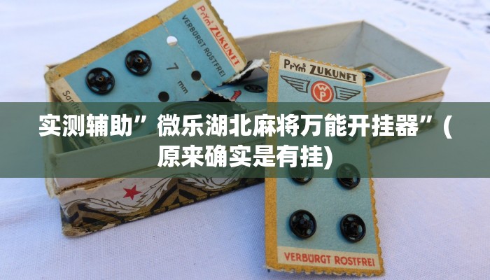 实测辅助”微乐湖北麻将万能开挂器”(原来确实是有挂)
