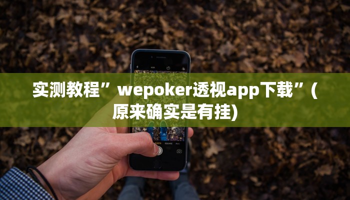 实测教程”wepoker透视app下载”(原来确实是有挂)