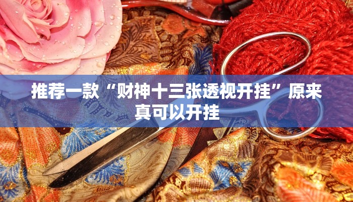 教程辅助“腾达填大坑透视挂”开挂详细教程