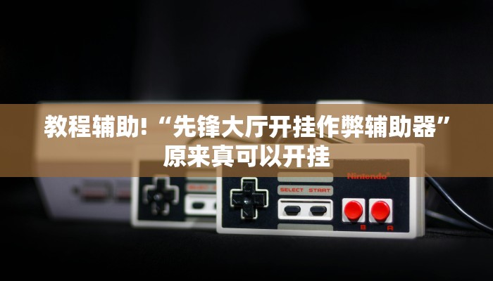 教程辅助!“先锋大厅开挂作弊辅助器”原来真可以开挂