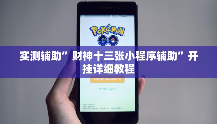 实测辅助”财神十三张小程序辅助”开挂详细教程