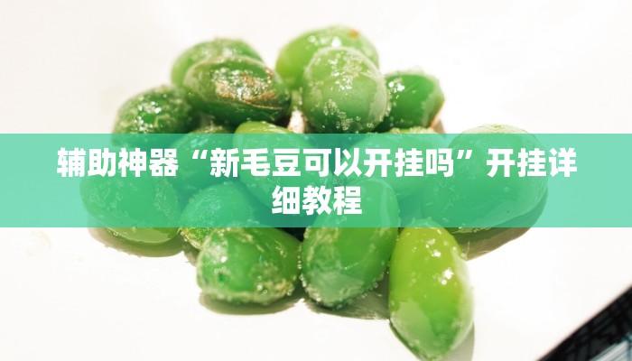 辅助神器“新毛豆可以开挂吗”开挂详细教程