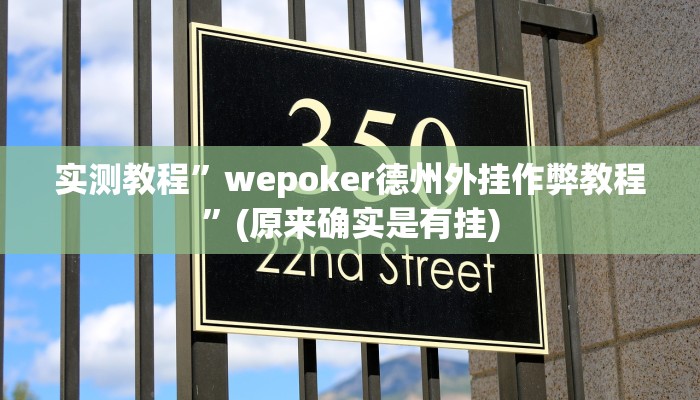教程辅助!“德扑之星开挂是真的吗”原来真可以开挂