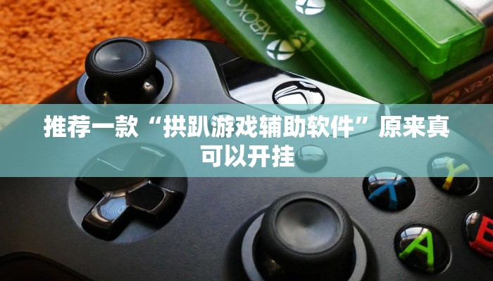 推荐一款“拱趴游戏辅助软件”原来真可以开挂