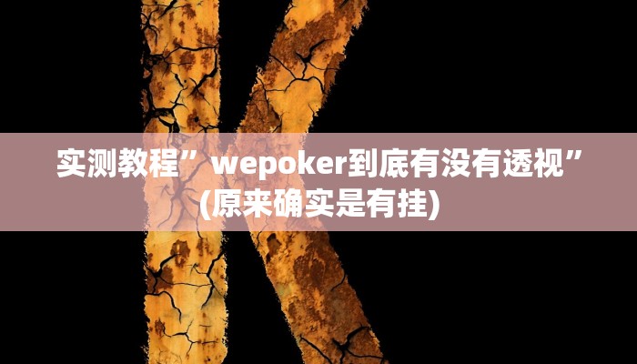 实测教程”wepoker到底有没有透视”(原来确实是有挂)