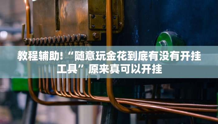教程辅助!“随意玩金花到底有没有开挂工具”原来真可以开挂