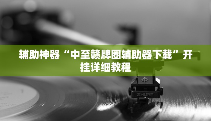 辅助神器“中至赣牌圈辅助器下载”开挂详细教程