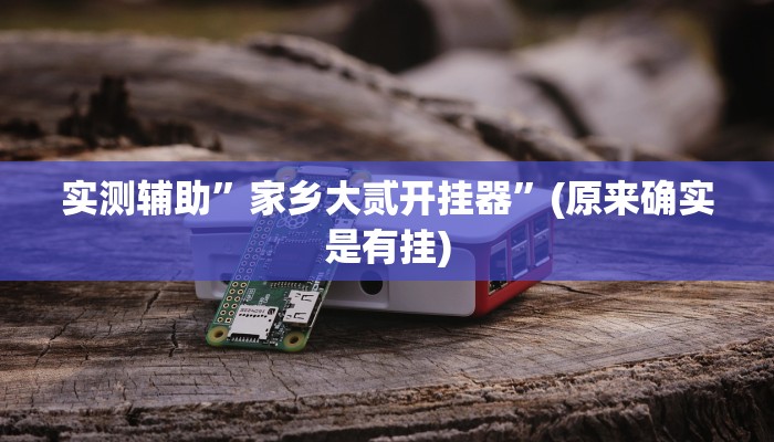 实测辅助”家乡大贰开挂器”(原来确实是有挂)