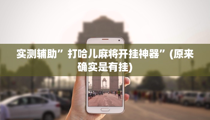 实测辅助”打哈儿麻将开挂神器”(原来确实是有挂)