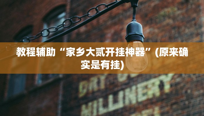 教程辅助“家乡大贰开挂神器”(原来确实是有挂)