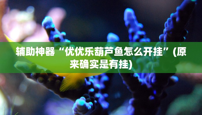 辅助神器“优优乐葫芦鱼怎么开挂”(原来确实是有挂)