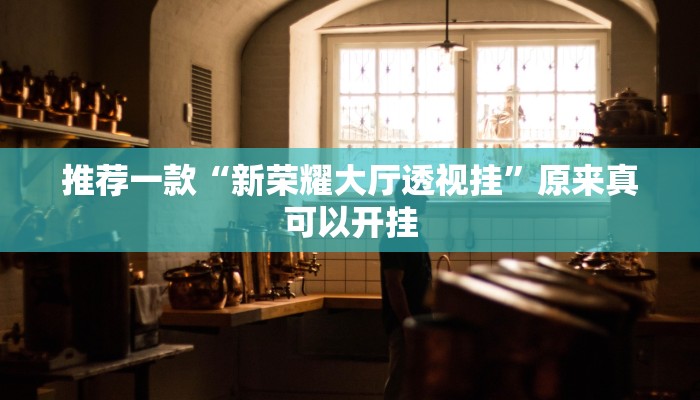 推荐一款“新荣耀大厅透视挂”原来真可以开挂