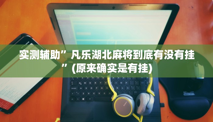 实测教程”陕麻圈辅助开挂”(原来确实是有挂)