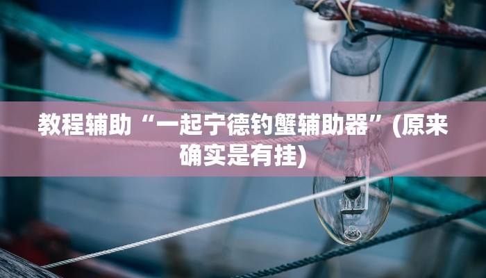 实测教程”芒果棋牌辅助怎么开挂”(原来确实是有挂)