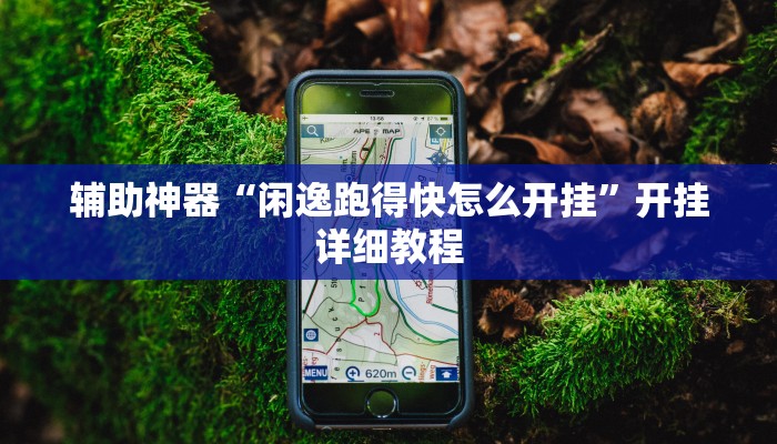 教程辅助!“十三水比鸡挂”其实确实有挂
