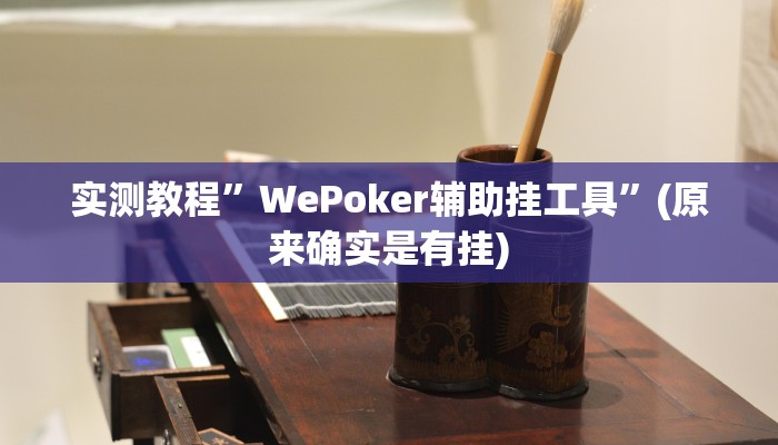 实测教程”WePoker辅助挂工具”(原来确实是有挂)