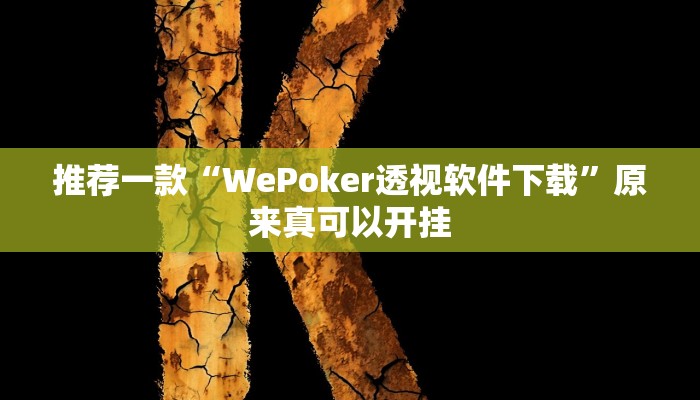 推荐一款“WePoker透视软件下载”原来真可以开挂
