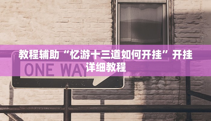 教程辅助“忆游十三道如何开挂”开挂详细教程