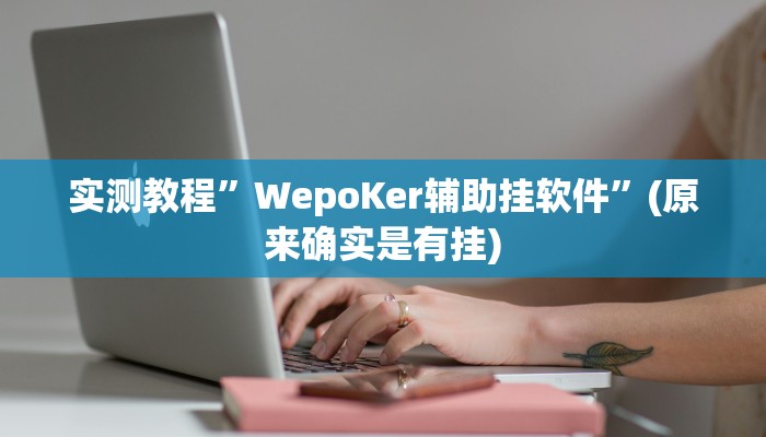 实测教程”WepoKer辅助挂软件”(原来确实是有挂)
