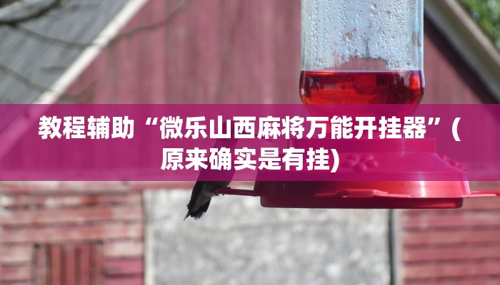 教程辅助“微乐山西麻将万能开挂器”(原来确实是有挂)