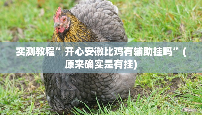 实测教程”开心安徽比鸡有辅助挂吗”(原来确实是有挂)